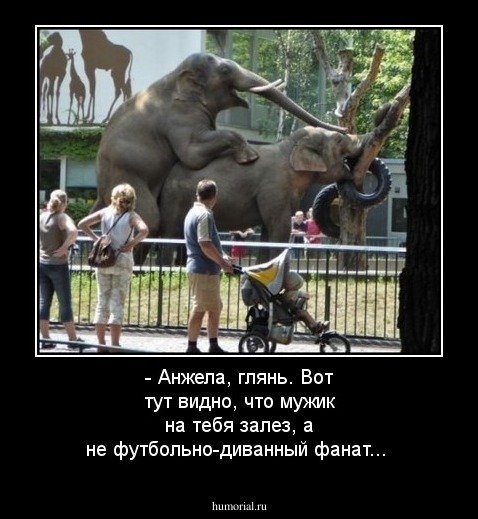 - Анжела, глянь. Вот тут видно, что мужик на тебя залез, а не футбольно-диванный фанат...