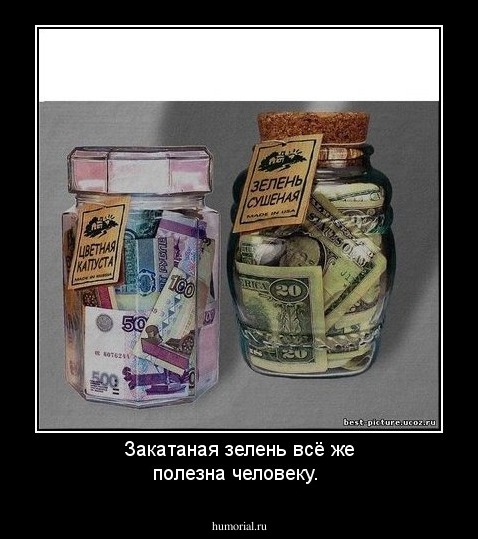 Закатаная зелень всё же полезна человеку.