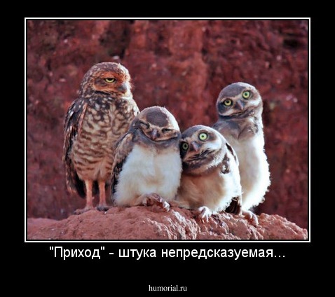 "Приход" - штука непредсказуемая...