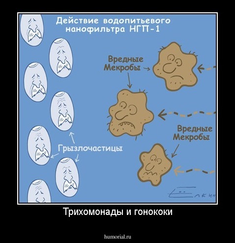 Трихомонады и гонококи