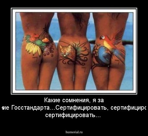 Какие сомнения, я за введение Госстандарта...Сертифицировать, сертифицировать и сертифицировать...