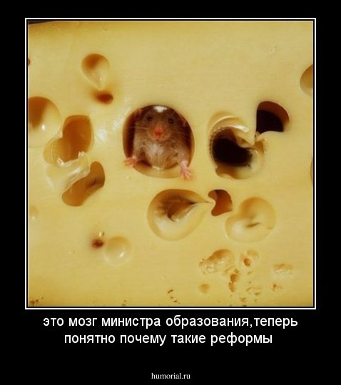 это мозг министра образования,теперь понятно почему такие реформы