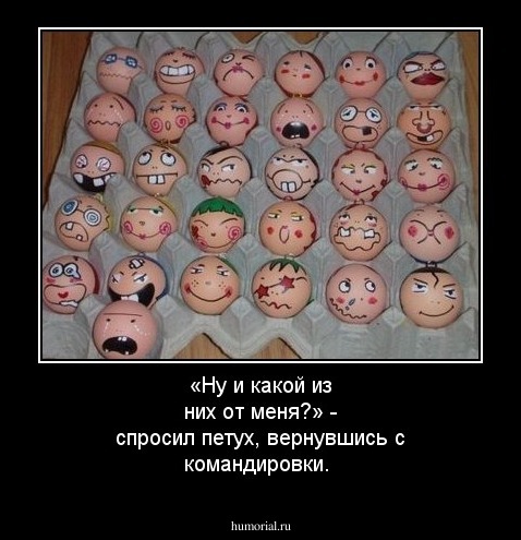 «Ну и какой из них от меня?» - спросил петух, вернувшись с командировки.