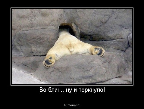Во блин...ну и торкнуло!