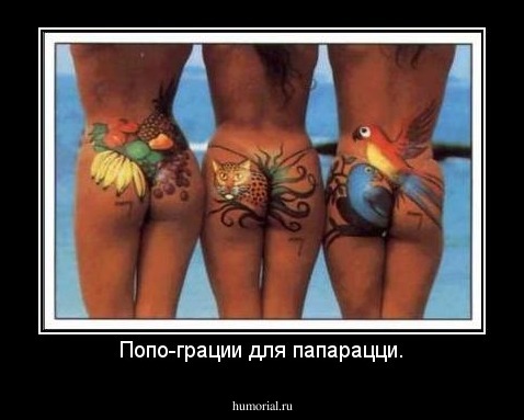 Попо-грации для папарацци.
