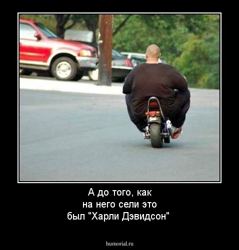 А до того, как на него сели это был "Харли Дэвидсон"