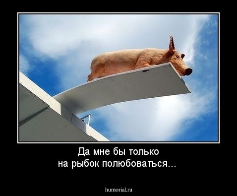 Да мне бы только на рыбок полюбоваться...