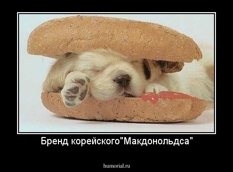 Бренд корейского"Макдонольдса"