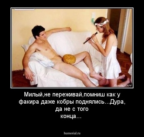 Милый,не переживай,помниш как у факира даже кобры поднялись...Дура, да не с того конца...