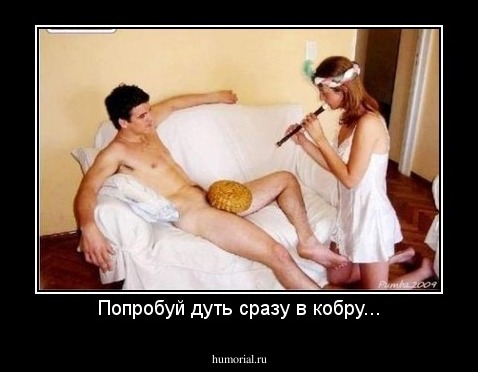 Попробуй дуть сразу в кобру...