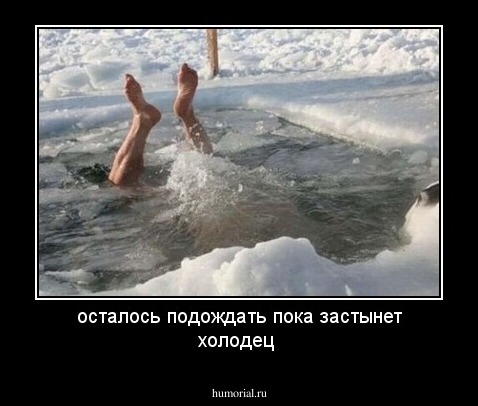 осталось подождать пока застынет холодец