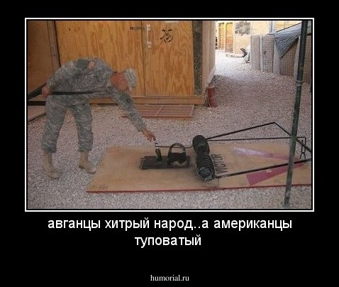 авганцы хитрый народ..а американцы туповатый