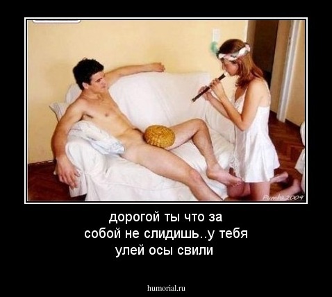 дорогой ты что за собой не слидишь..у тебя улей осы свили
