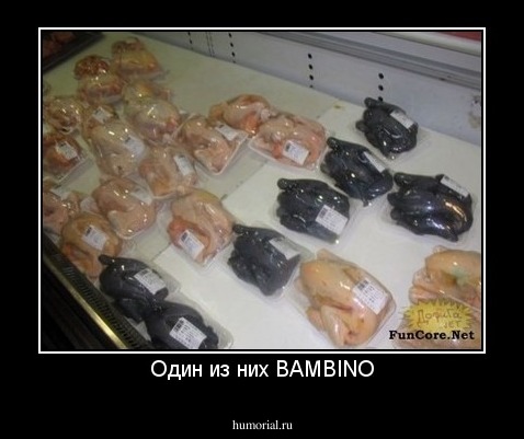 Один из них BAMBINO