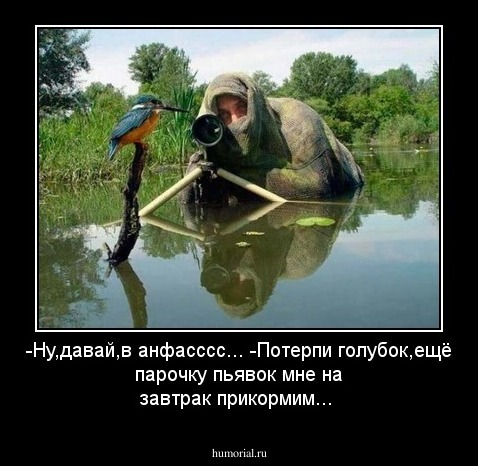 -Ну,давай,в анфасссс...  -Потерпи голубок,ещё парочку пьявок мне на завтрак прикормим...