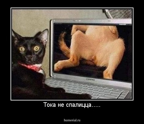Тока не спалицца.....