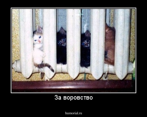 За воровство