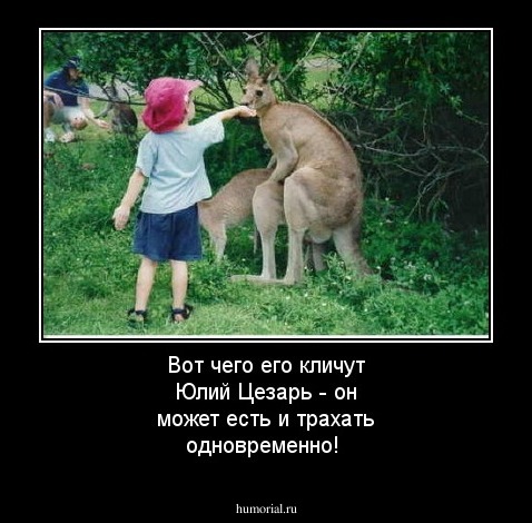 Вот чего его кличут Юлий Цезарь - он может есть и трахать одновременно!