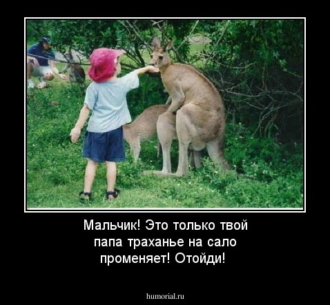 Мальчик! Это только твой папа траханье на сало променяет! Отойди!