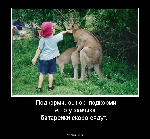 - Подкорми, сынок. подкорми. А то у зайчика батарейки скоро сядут.
