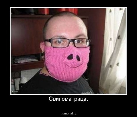 Свиноматрица.