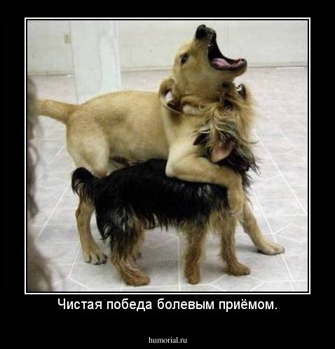 Чистая победа болевым приёмом.