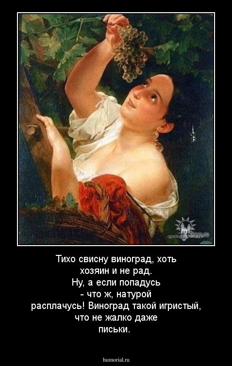 Тихо свисну виноград, хоть хозяин и не рад. Ну, а если попадусь - что ж, натурой расплачусь! Виноград такой игристый, что не жалко даже письки.