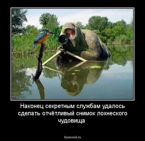 Наконец секретным службам удалось сделать отчётливый снимок лохнеского чудовища