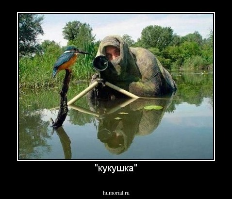 "кукушка"