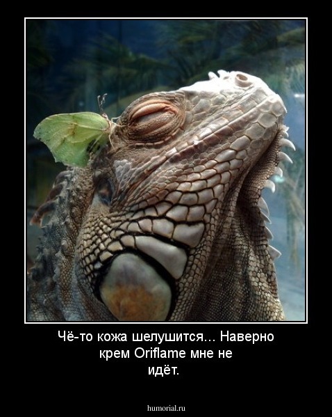 Чё-то кожа шелушится... Наверно крем Oriflame мне не идёт.