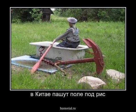 в Китае пашут поле под рис