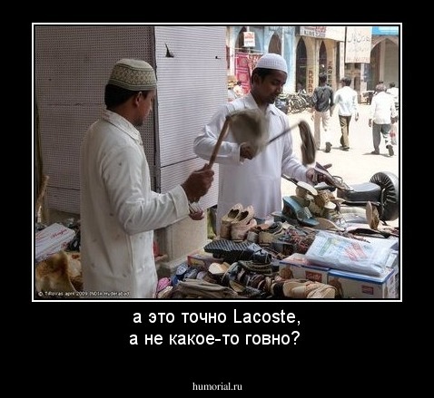 а это точно Lacoste, а не какое-то говно?