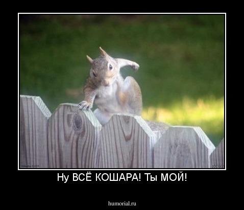 Ну ВСЁ КОШАРА! Ты МОЙ!