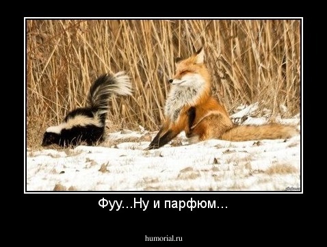 Фуу...Ну и парфюм...