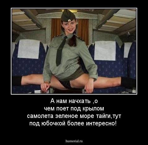 А нам начхать ,о чем поет под крылом самолета зеленое море тайги,тут под юбочкой более интересно!