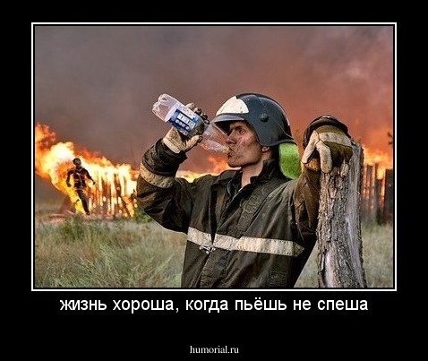 жизнь хороша, когда пьёшь не спеша