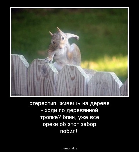 стереотип: живешь на дереве - ходи по деревянной тропке? блин, уже все орехи об этот забор побил!