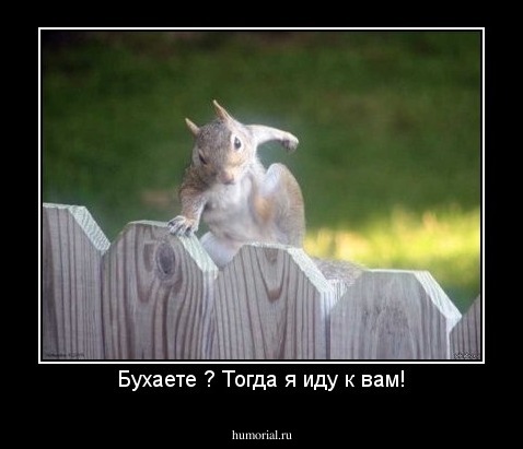 Бухаете ? Тогда я иду к вам!