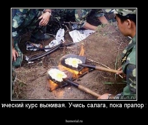 практический курс выживая. Учись салага, пока прапор жив...