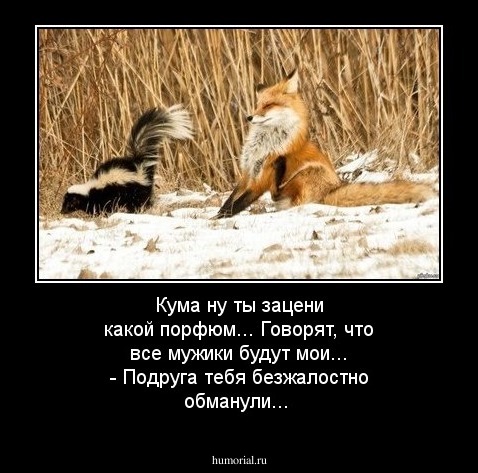 Кума ну ты зацени какой порфюм... Говорят, что все мужики будут мои...   - Подруга тебя безжалостно обманули...