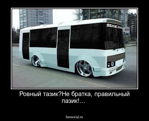 Ровный тазик?Не братка, правильный пазик!...