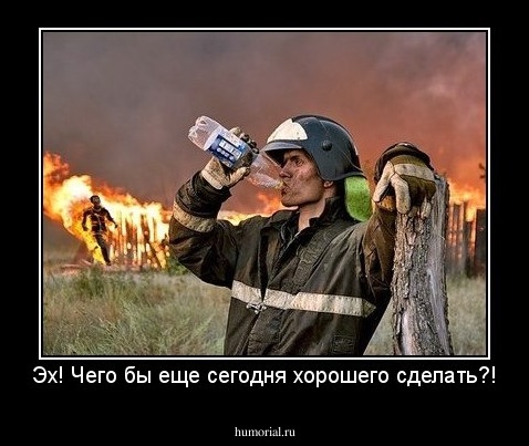 Эх! Чего бы еще сегодня хорошего сделать?!