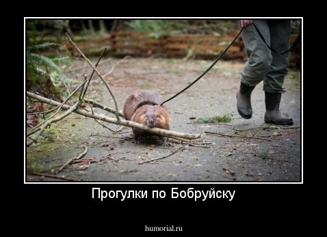 Прогулки по Бобруйску