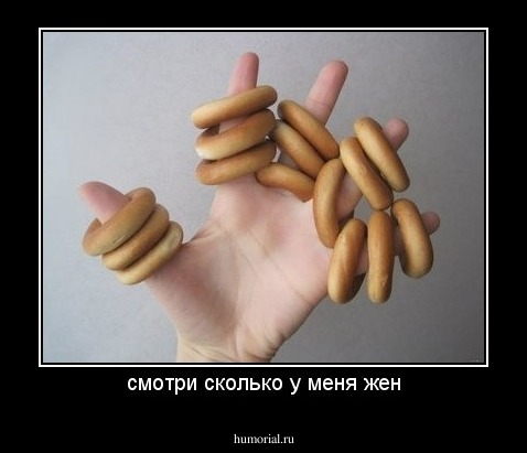 смотри сколько у меня жен