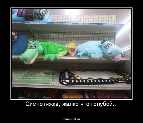 Симпотяжка, жалко что голубой...