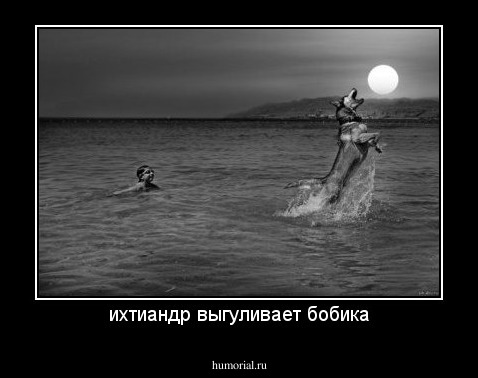 ихтиандр выгуливает бобика