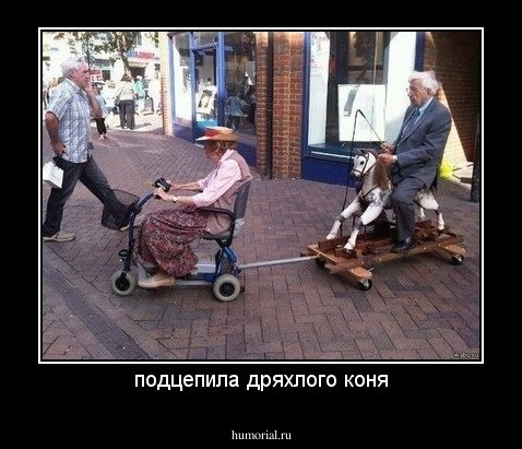 подцепила дряхлого коня
