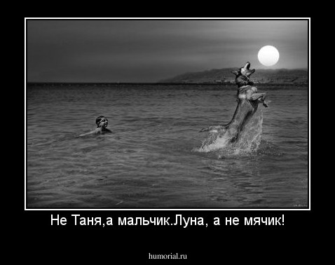 Не Таня,а мальчик.Луна, а не мячик!