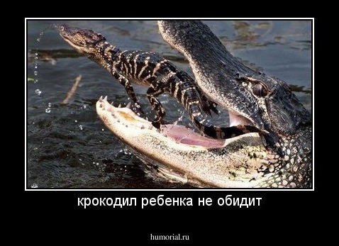 крокодил ребенка не обидит