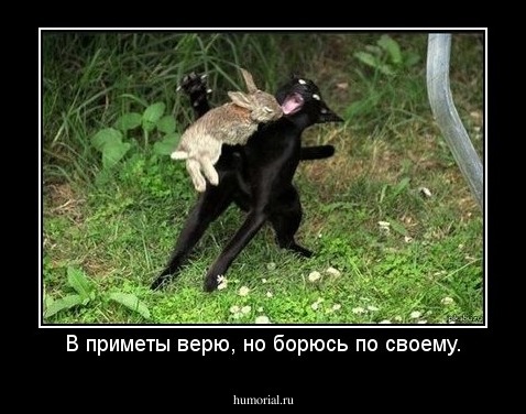 В приметы верю, но борюсь по своему.